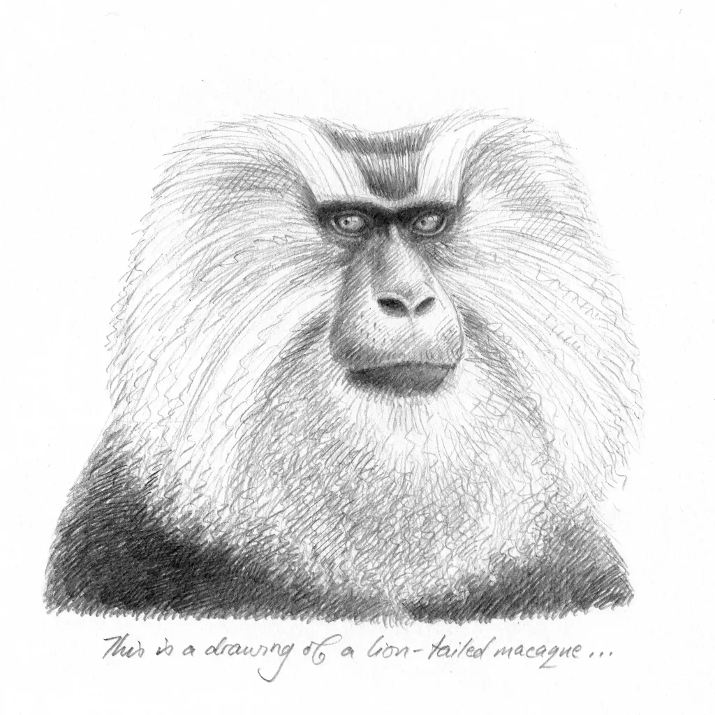 Monkey Drawing