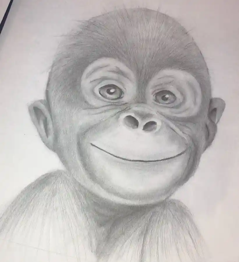 Monkey Drawing