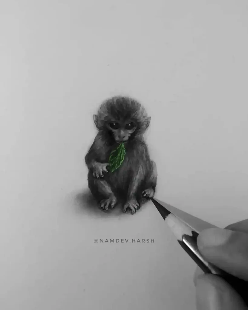 Monkey Drawing
