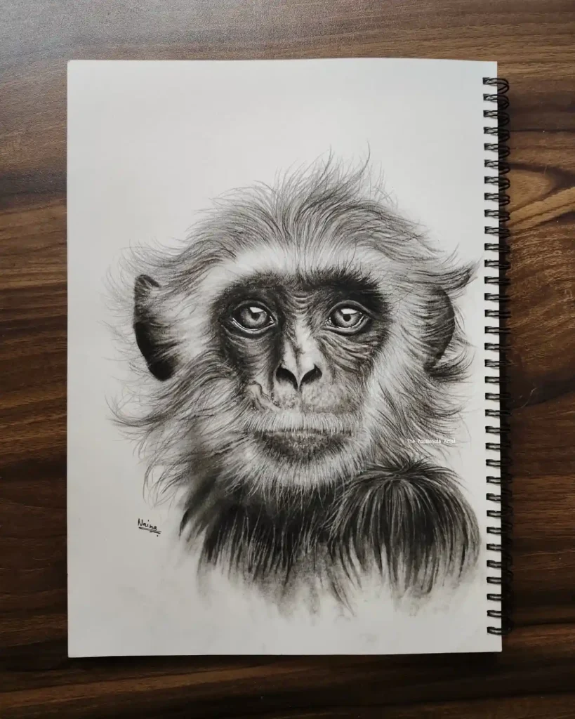 Monkey Drawing