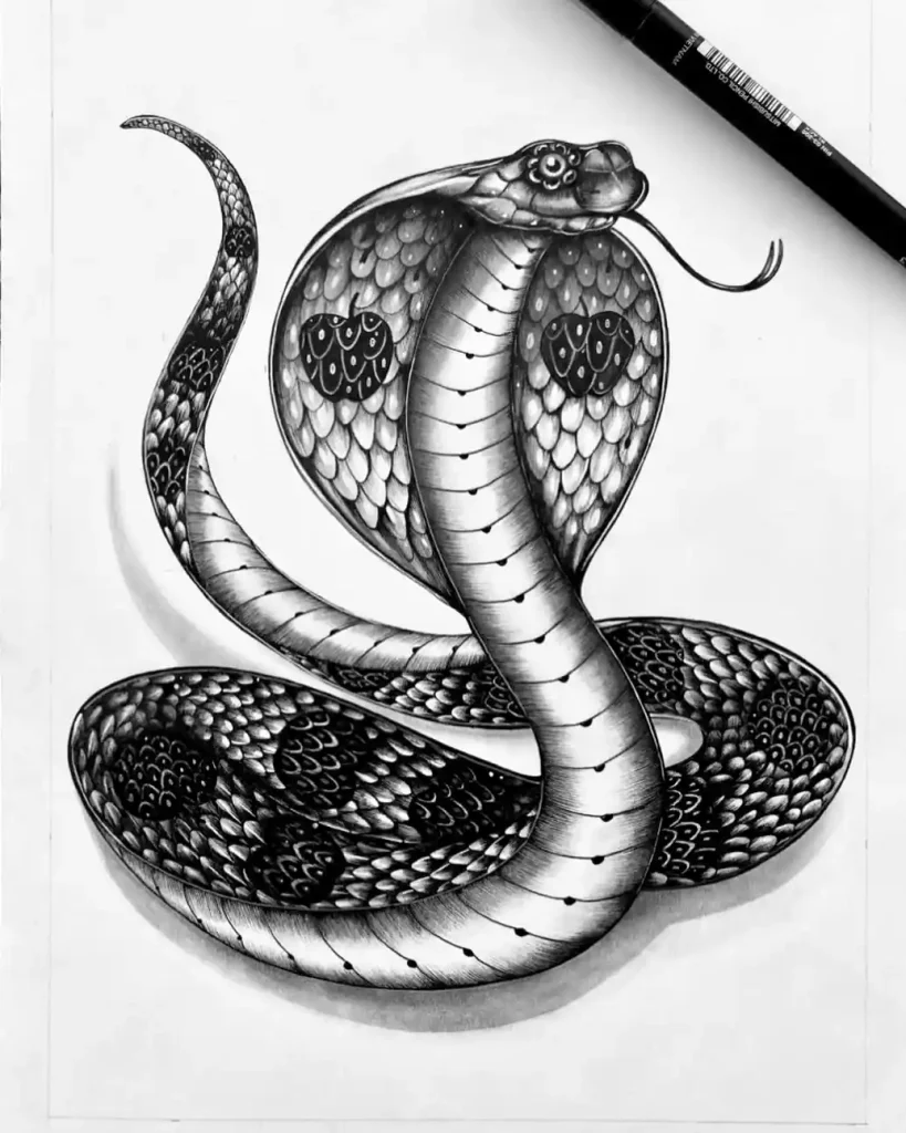 Snake Drawing