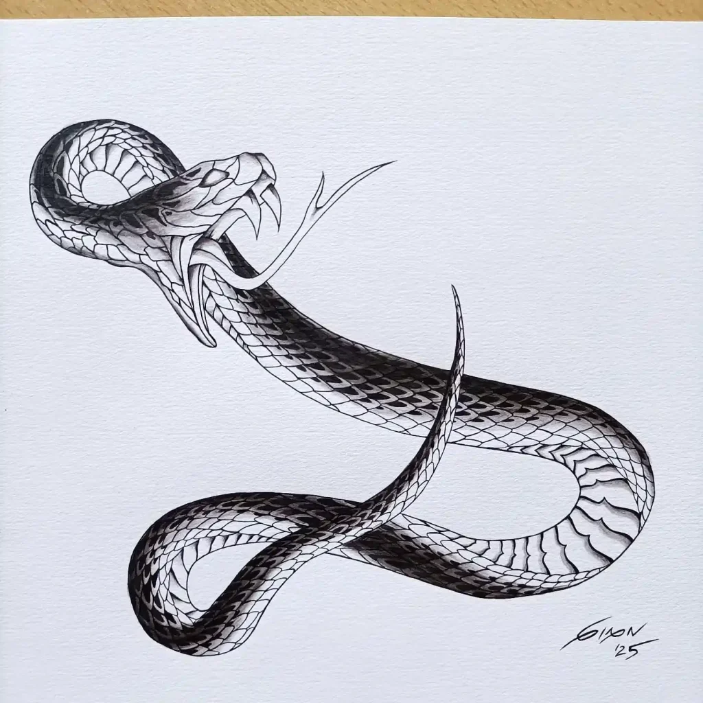 Snake Drawing