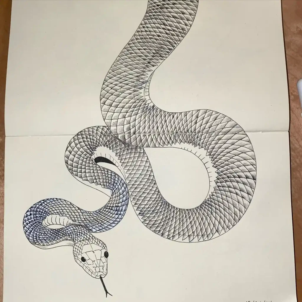 Snake Drawing