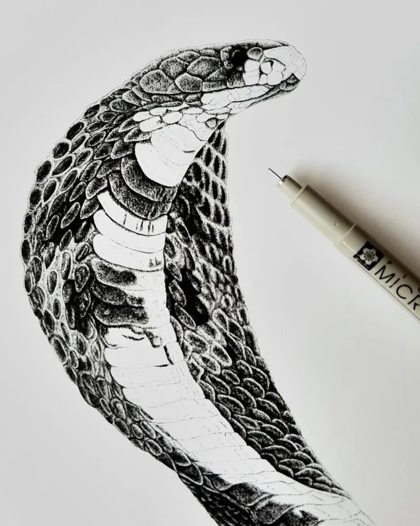 Snake Drawing
