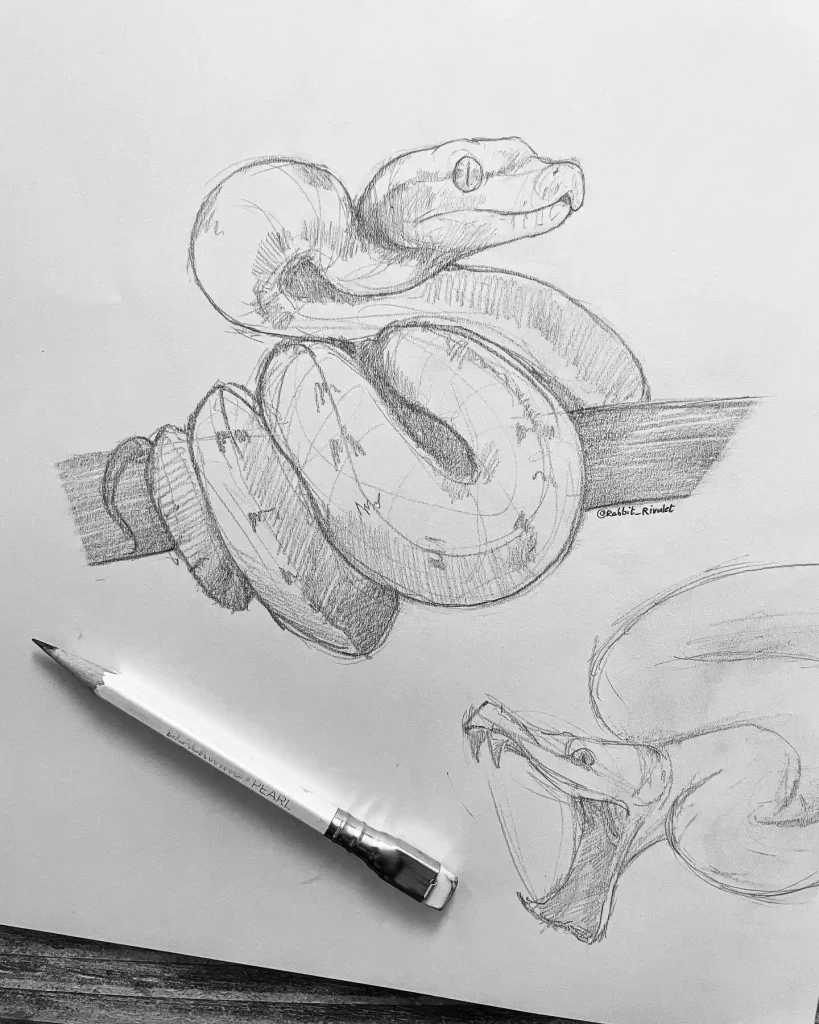 Snake Drawing