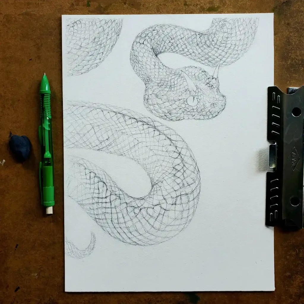 Snake Drawing