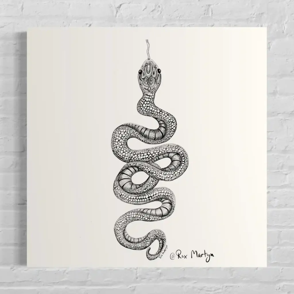 Snake Drawing