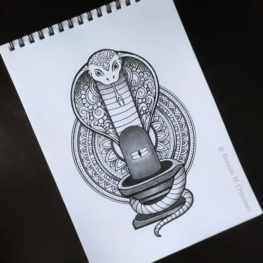 Snake Drawing