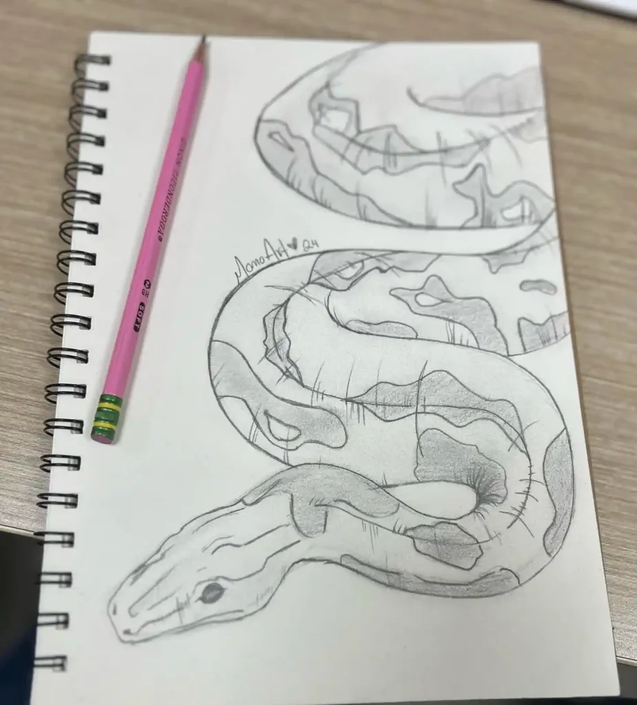 Snake Drawing