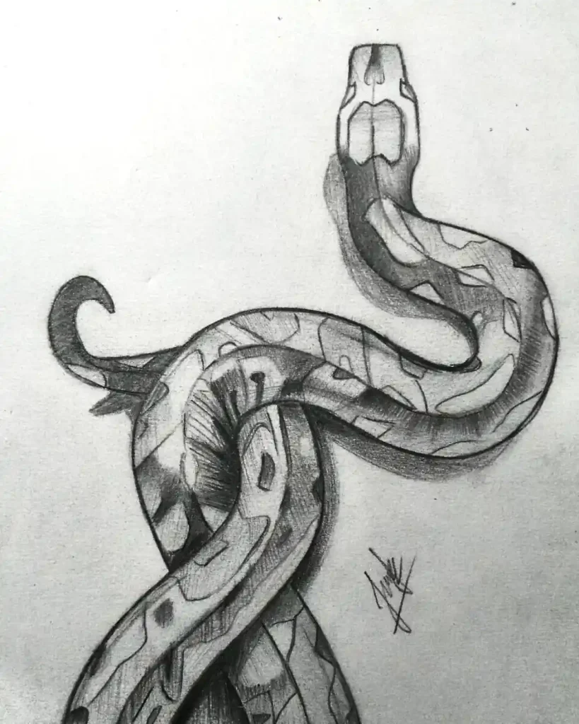Snake Drawing