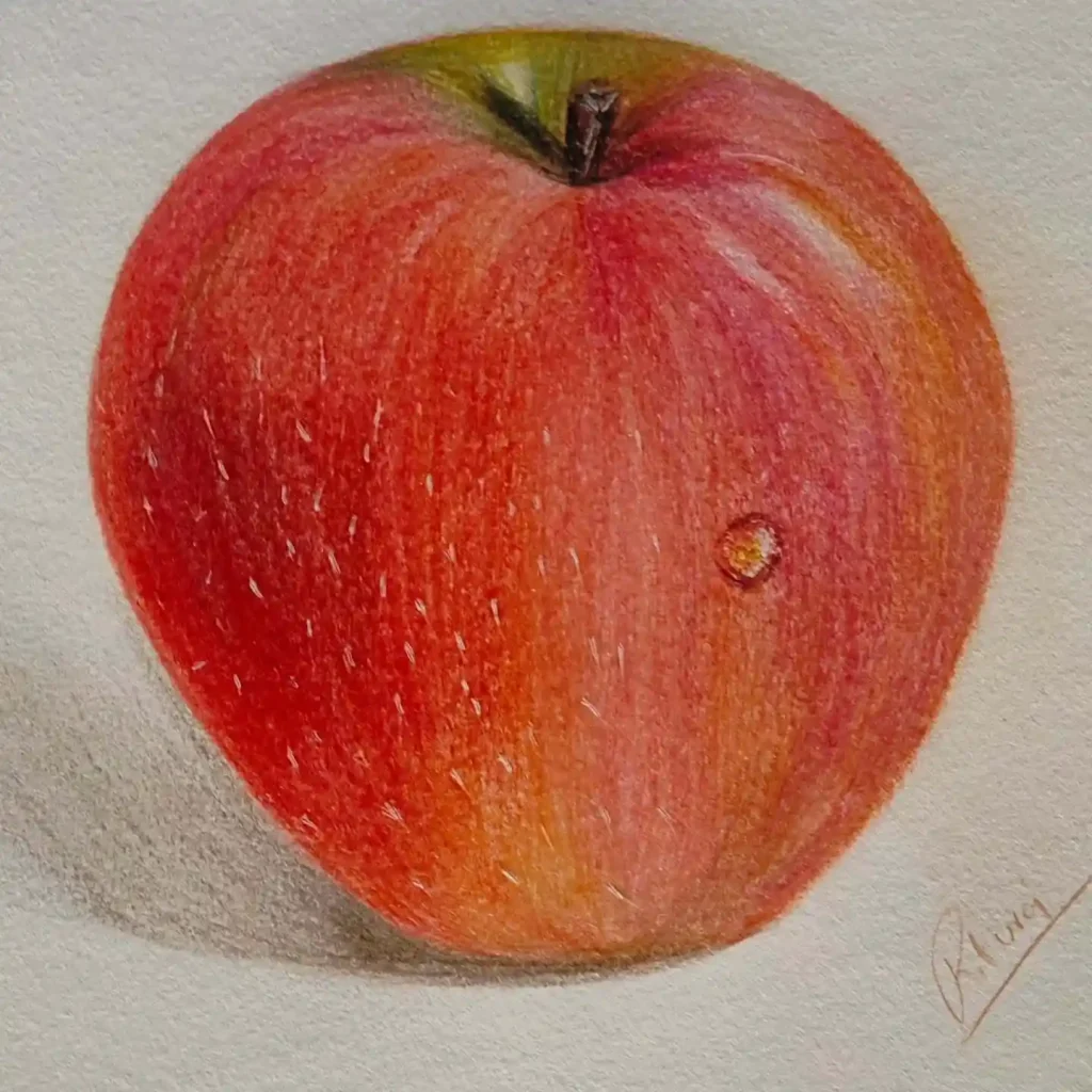 Apple Drawing Ideas