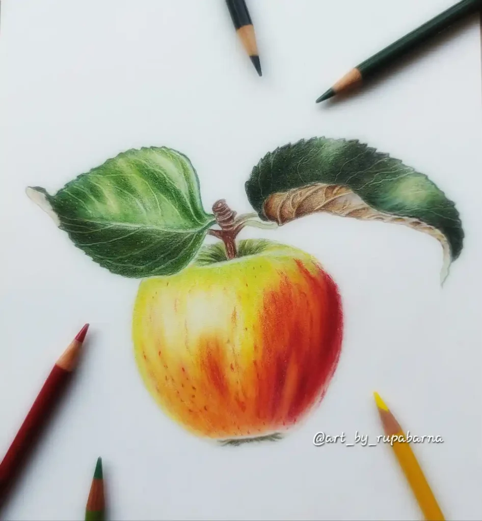 Apple Drawing Ideas