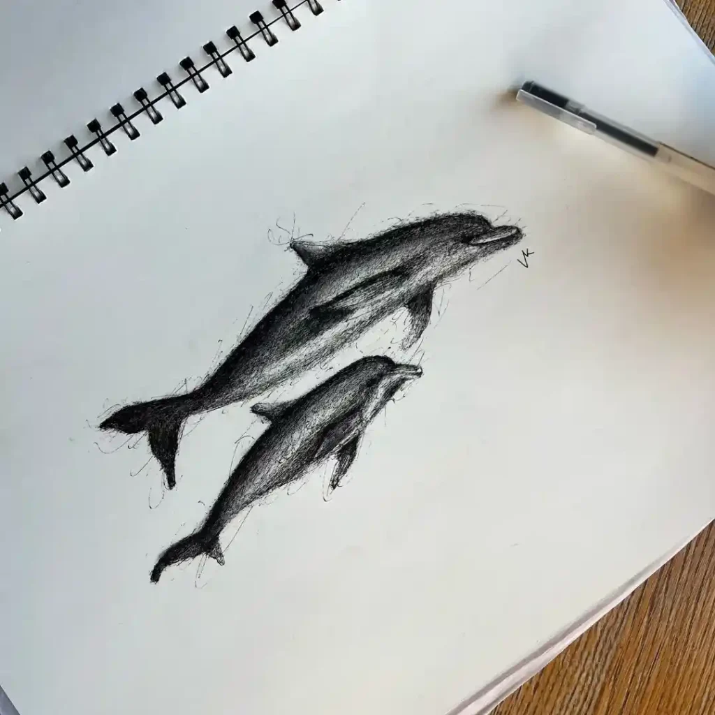 Dolphin Drawing Ideas