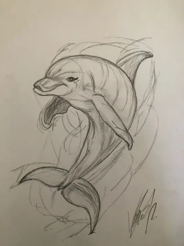Dolphin Drawing Ideas