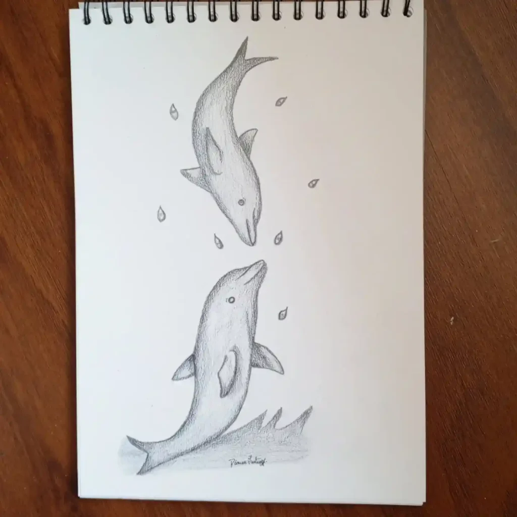 Dolphin Drawing Ideas