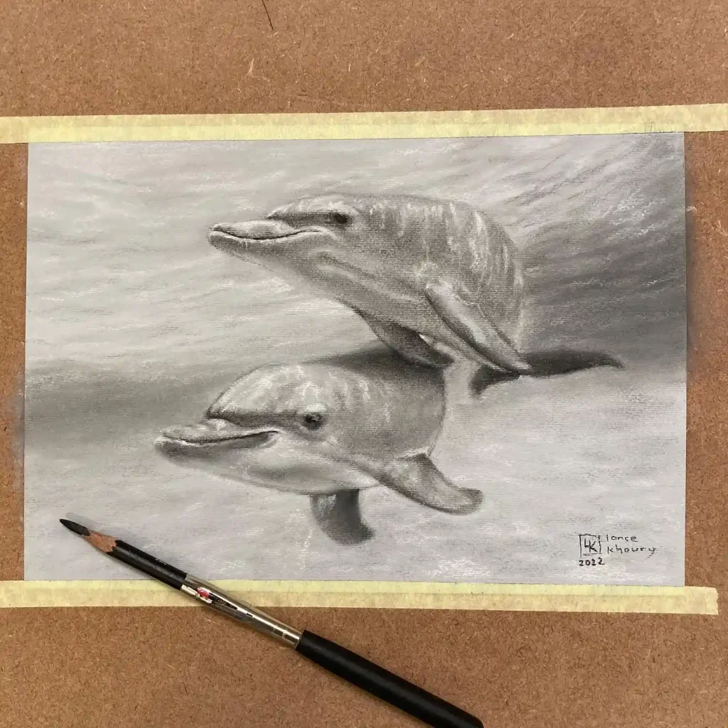 Dolphin Drawing Ideas