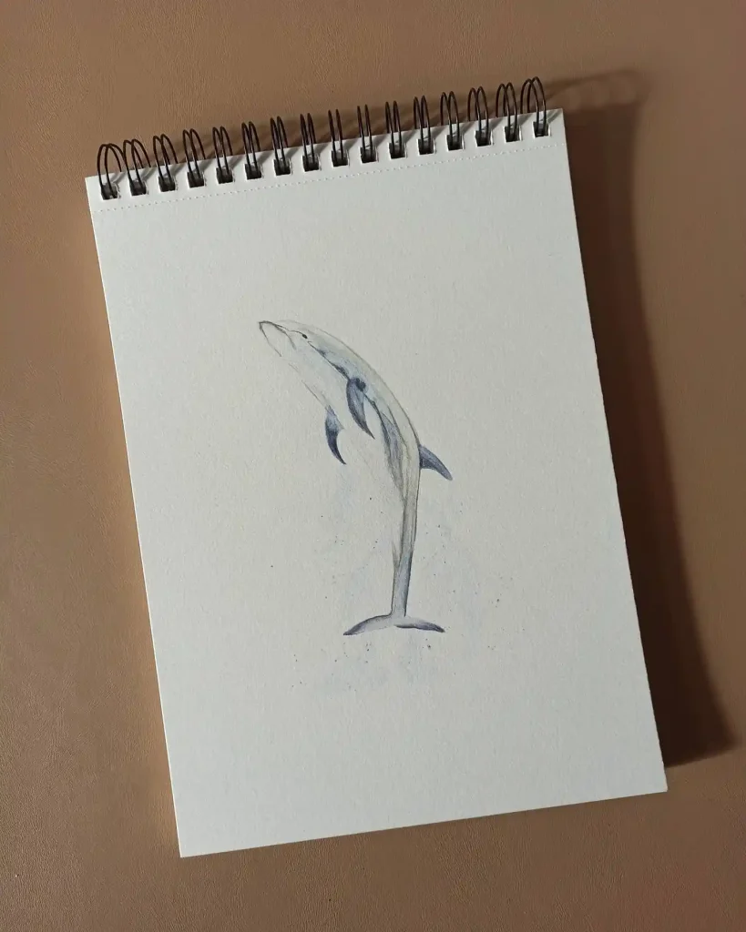 Dolphin Drawing Ideas