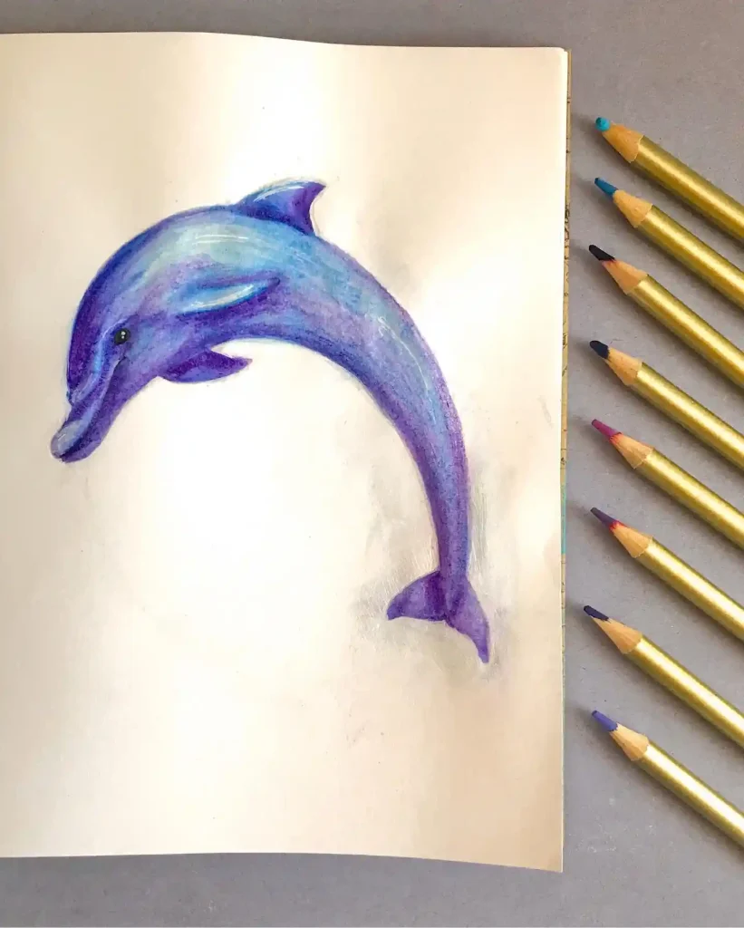 Dolphin Drawing Ideas