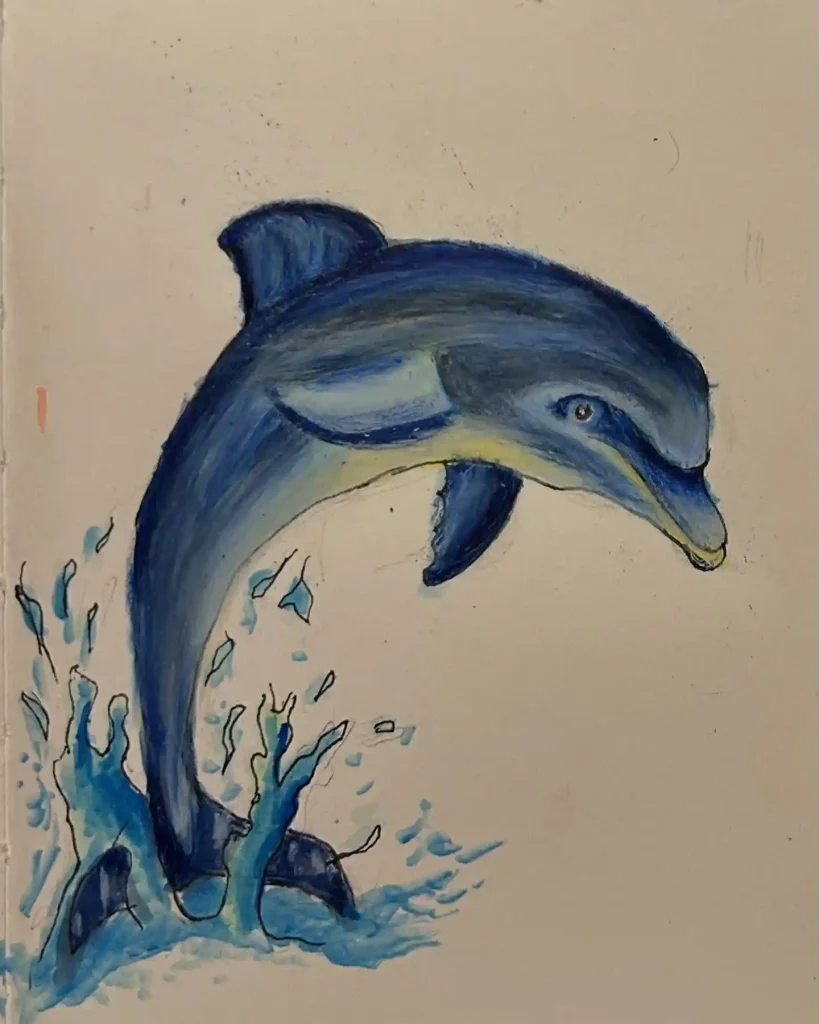 Dolphin Drawing Ideas