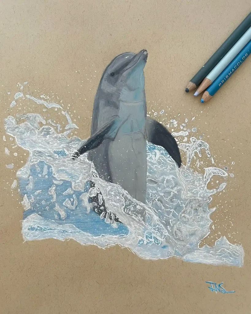 Dolphin Drawing Ideas