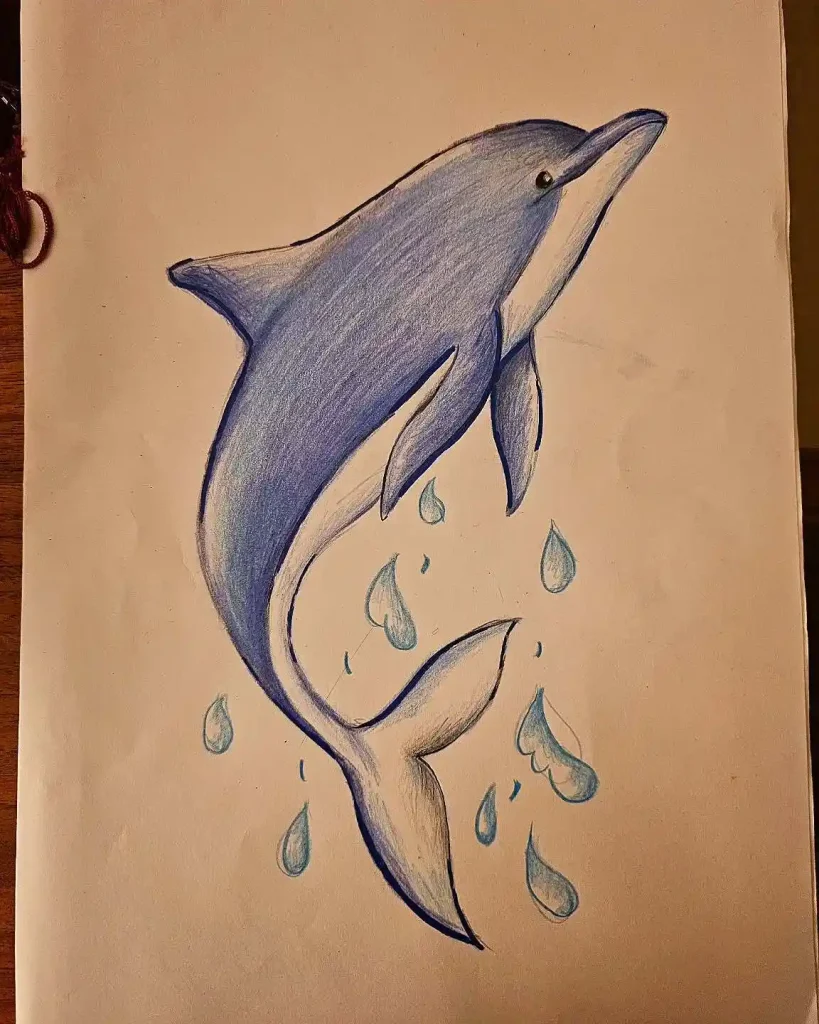 Dolphin Drawing Ideas
