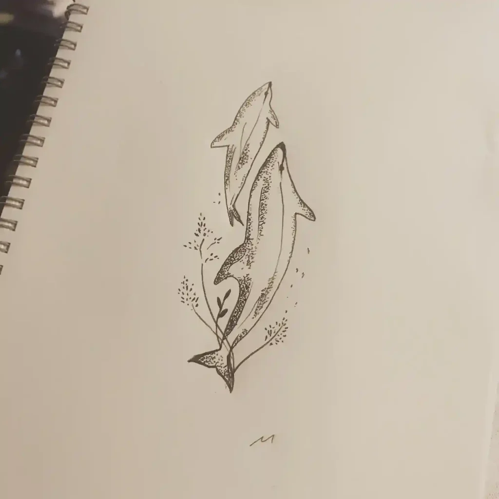 Dolphin Drawing Ideas