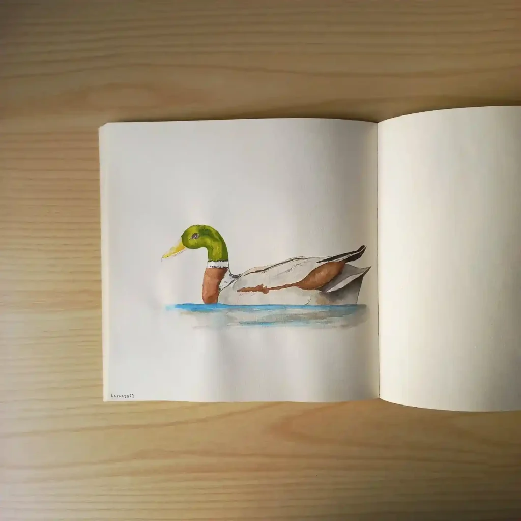 Duck Drawing Ideas