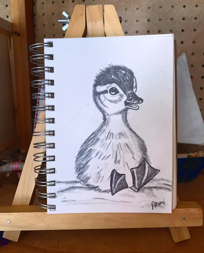 Duck Drawing Ideas