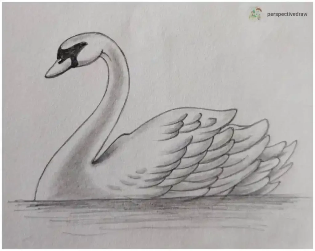 Duck Drawing Ideas