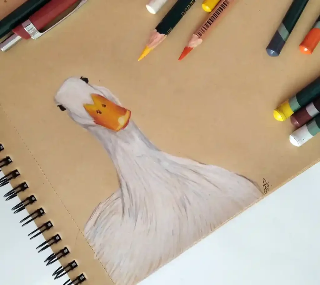 Duck Drawing Ideas