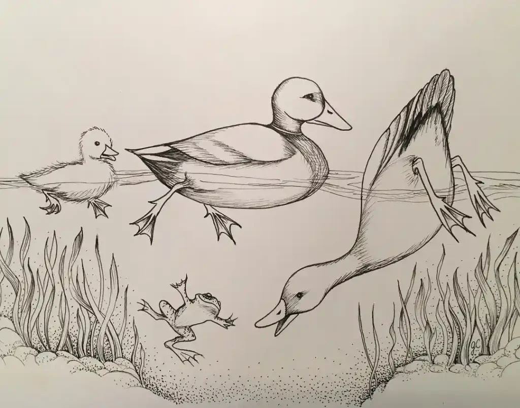 Duck Drawing Ideas