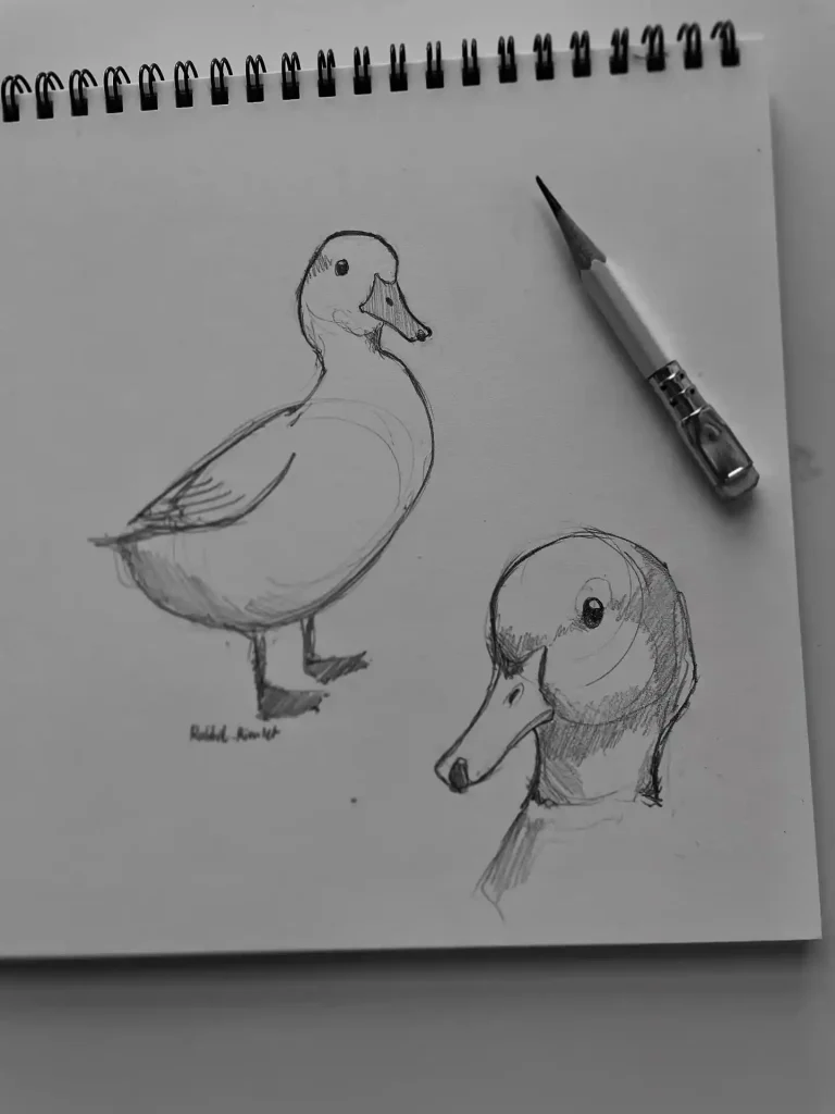 Duck Drawing Ideas