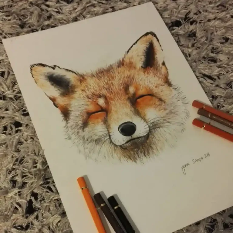 fox drawing (16)