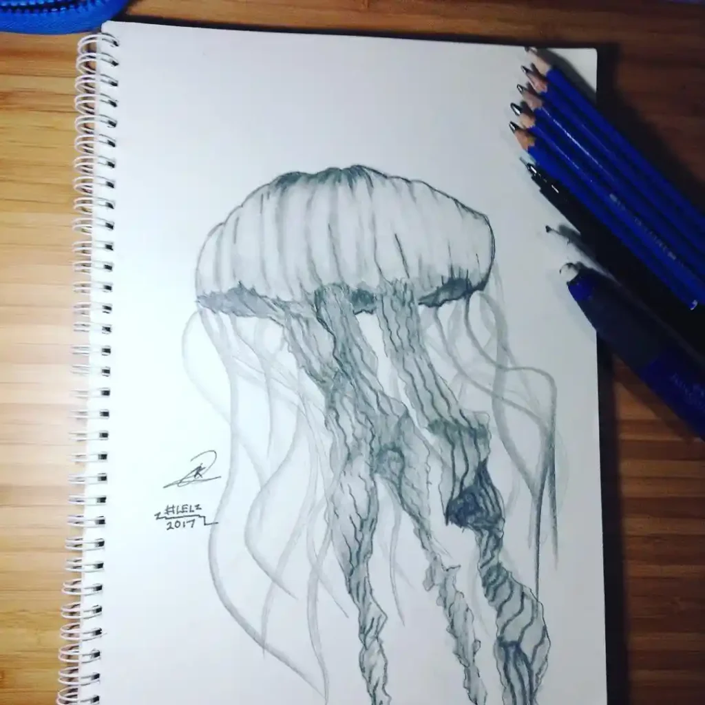 Jellyfish Drawing Ideas