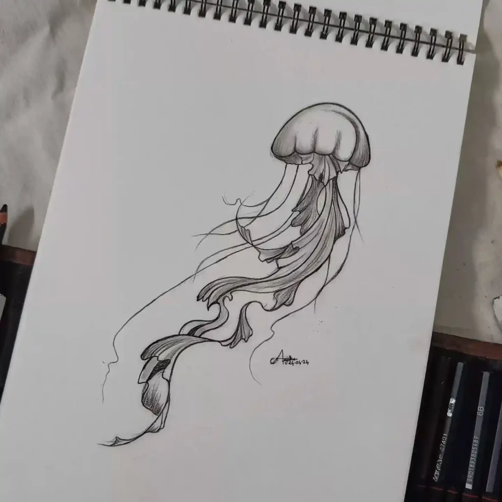 Jellyfish Drawing Ideas