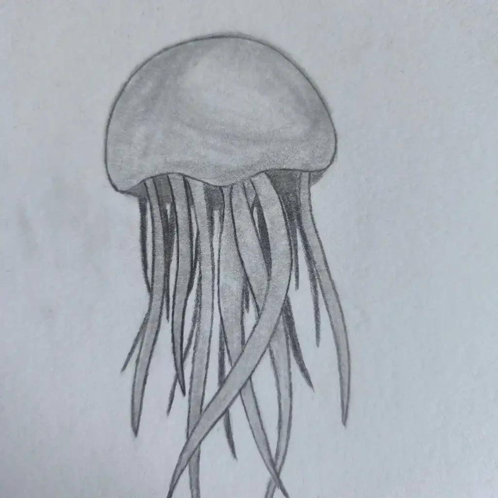 Jellyfish Drawing Ideas
