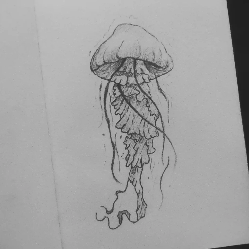 Jellyfish Drawing Ideas