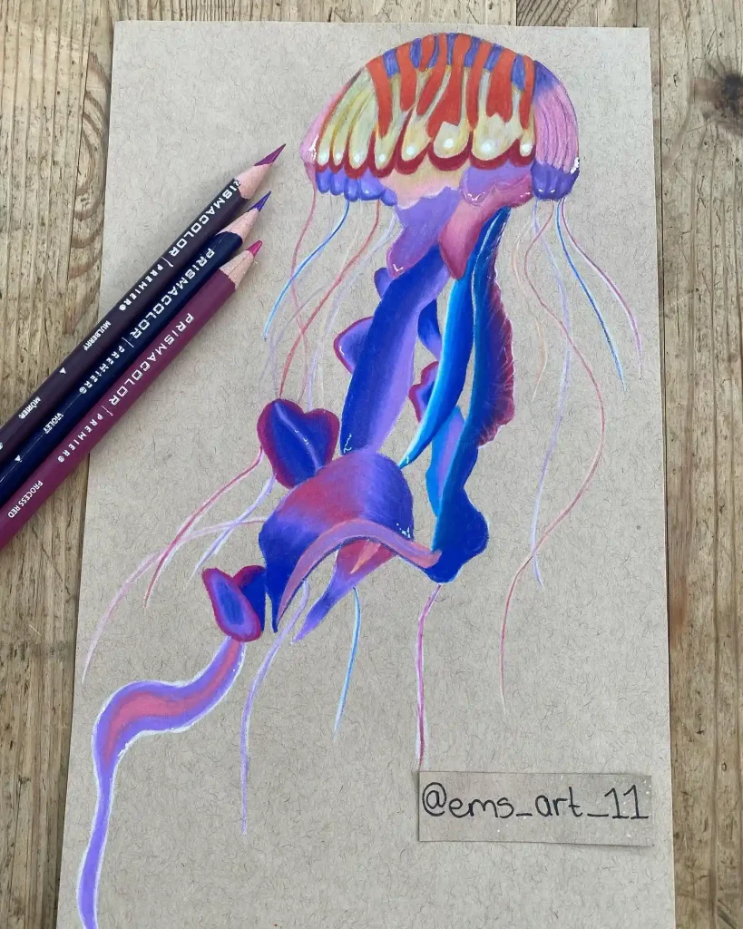 Jellyfish Drawing Ideas