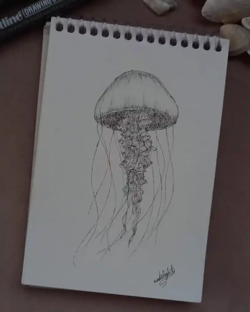 Jellyfish Drawing Ideas