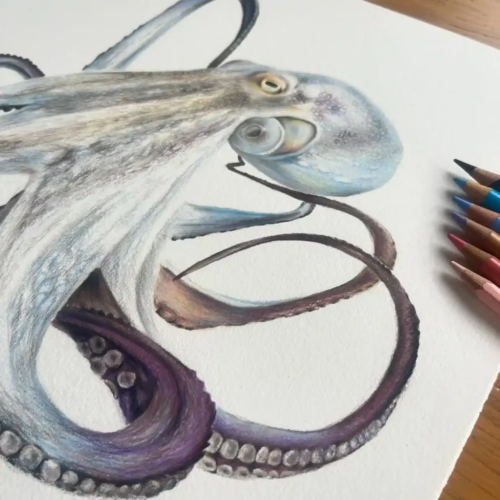 Octopus Drawing Ideas