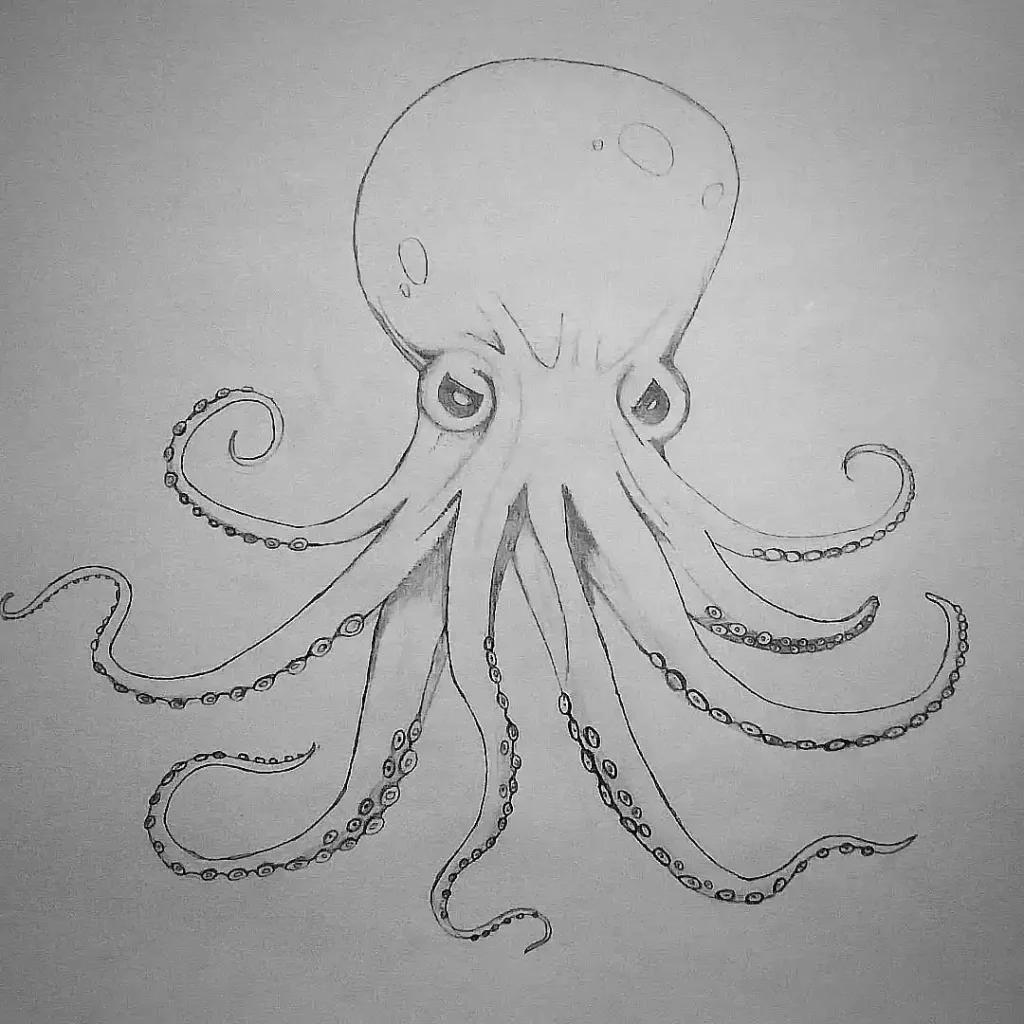 Octopus Drawing Ideas