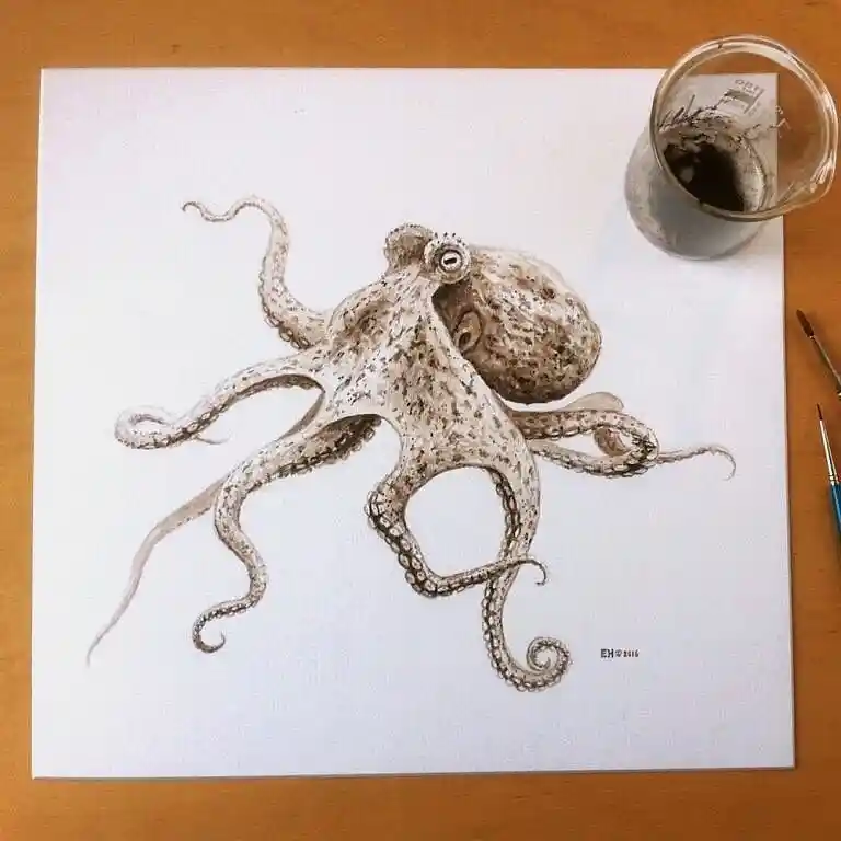 Octopus Drawing Ideas