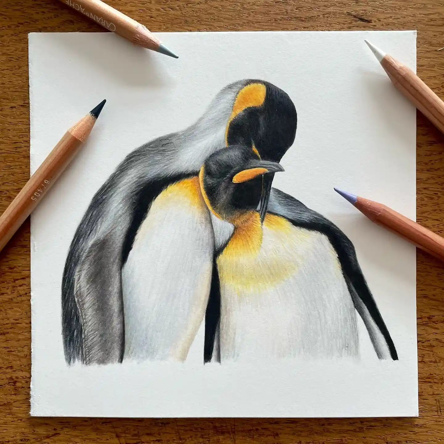 What Are 15 Adorable Penguin Drawing Ideas for Every Artist? - GS Art Zone