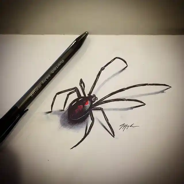 Spider Drawings