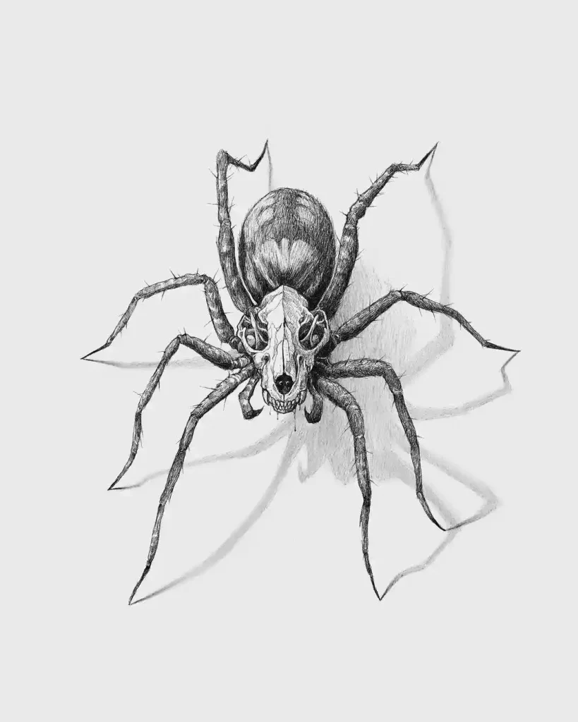 Spider Drawings