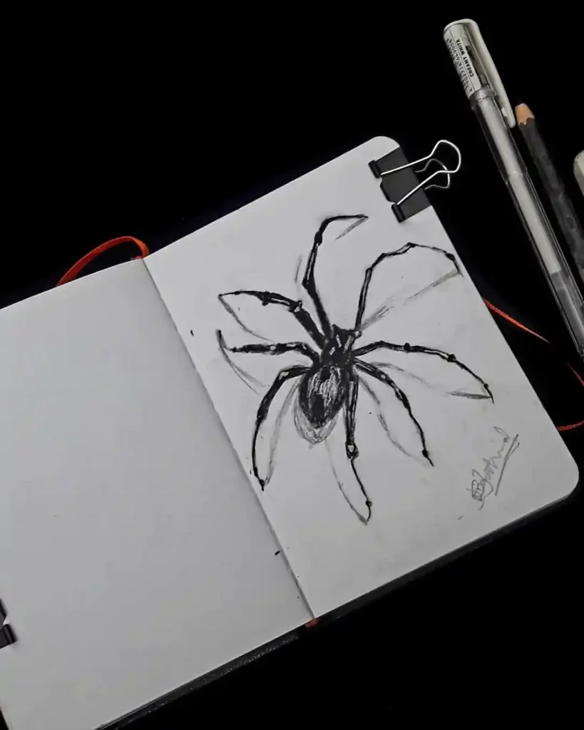 Spider Drawings