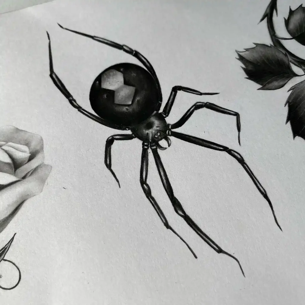 Spider Drawings