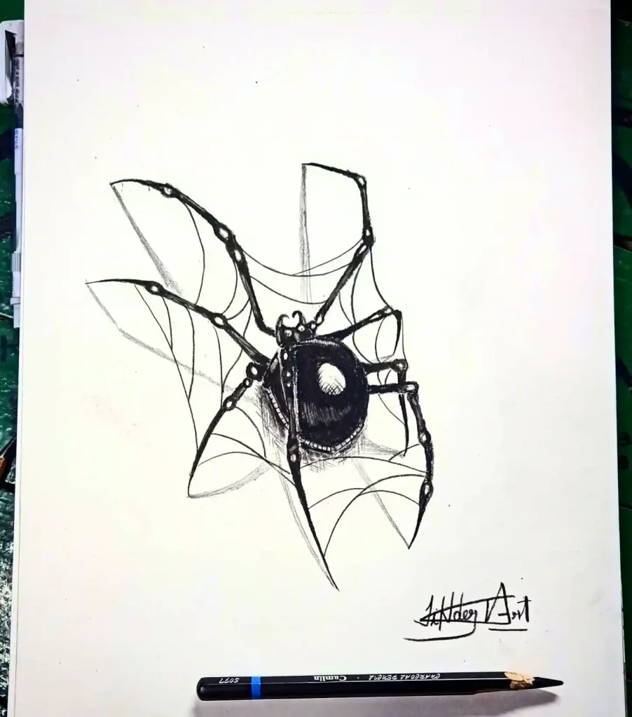 Spider Drawings