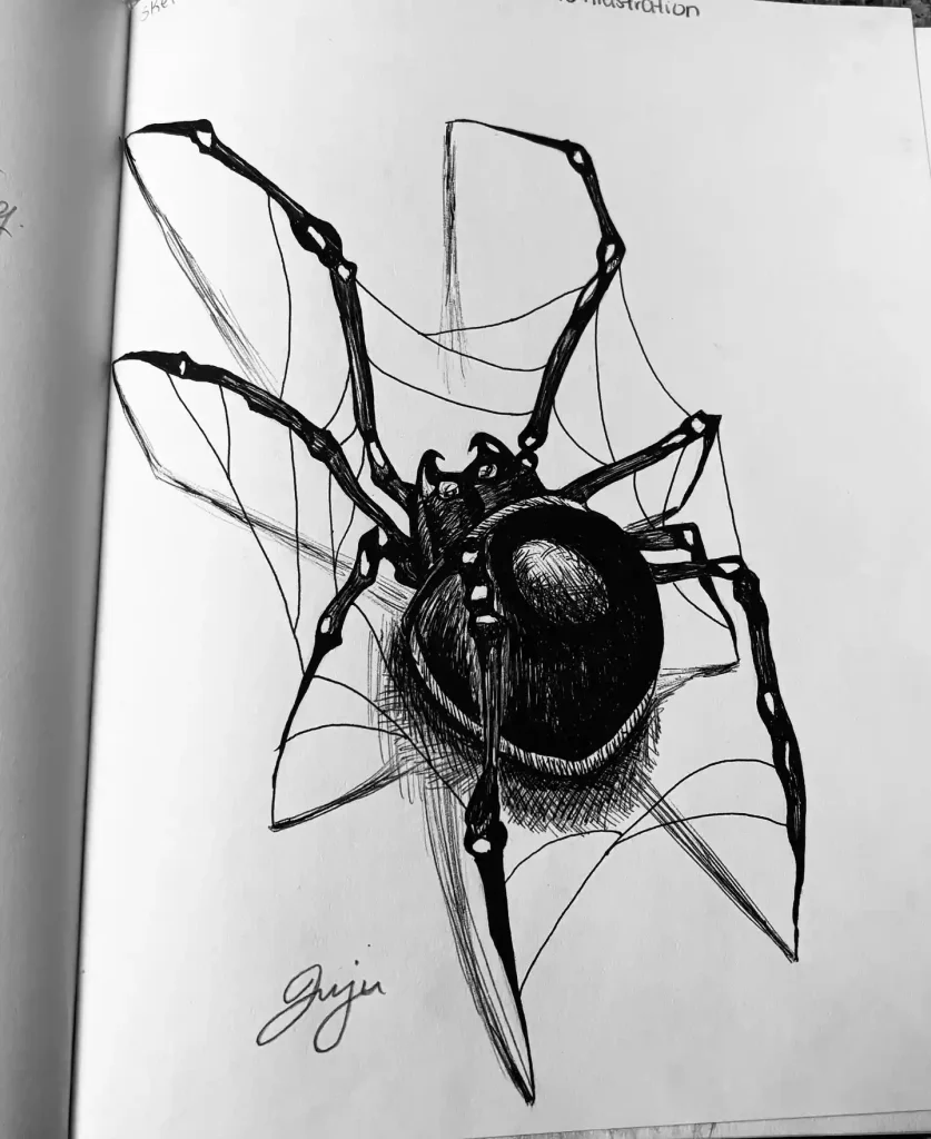 Spider Drawings