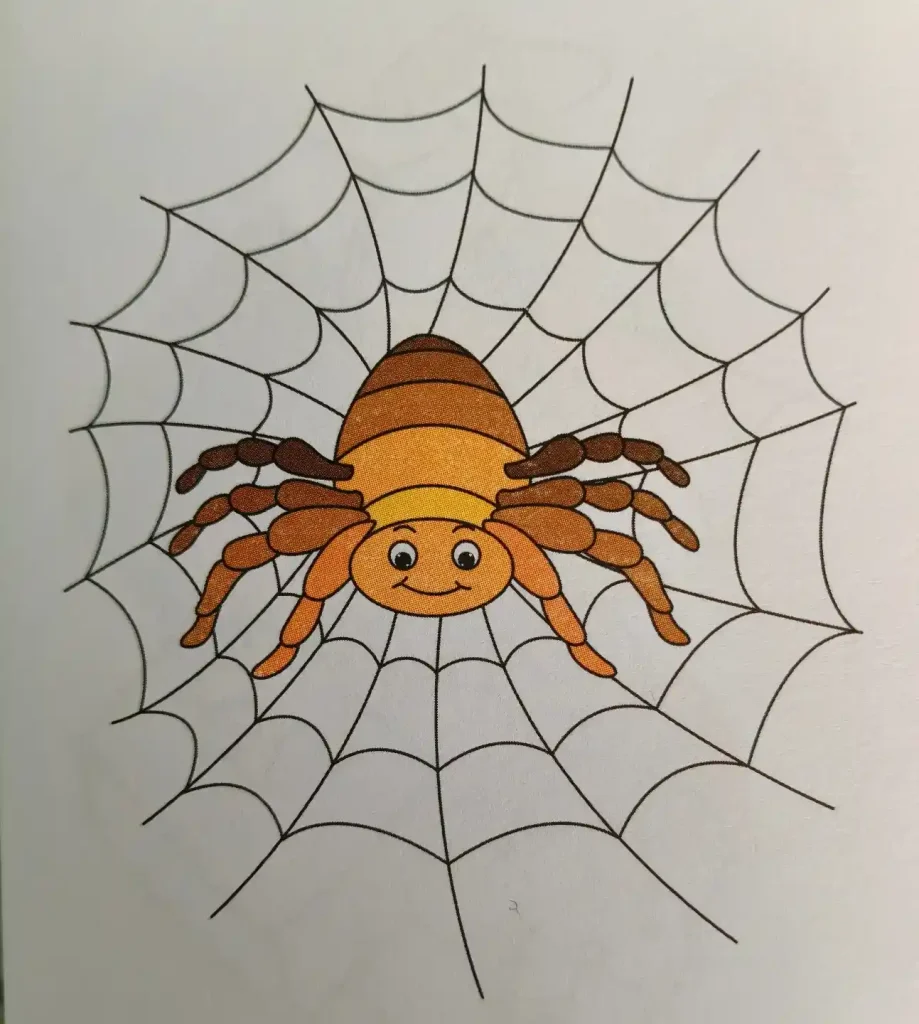 Spider Drawings